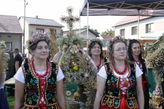 IMG_3548