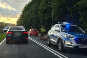 Zderzenie z jeleniem na DW956 w Budzowie