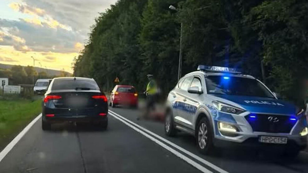 Zderzenie z jeleniem na DW956 w Budzowie